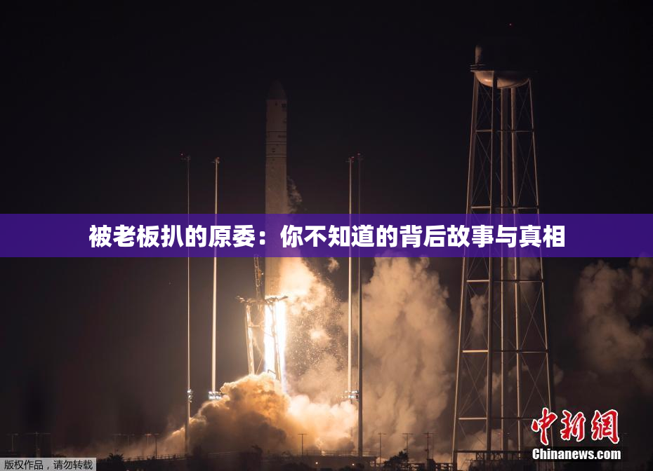 被老板扒的原委：你不知道的背后故事与真相
