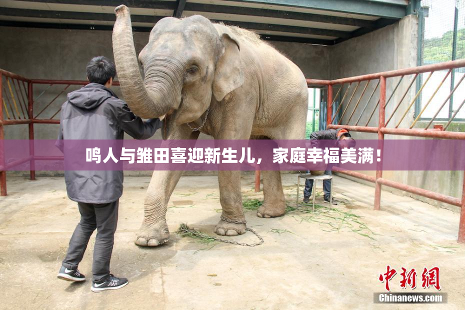 鸣人与雏田喜迎新生儿，家庭幸福美满！
