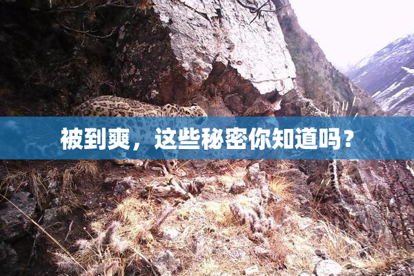 被到爽，这些秘密你知道吗？