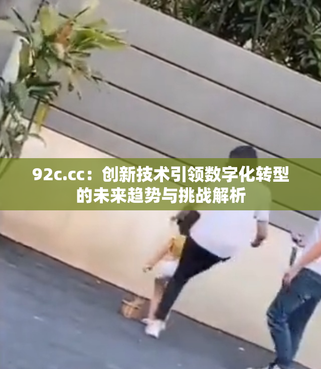 92c.cc：创新技术引领数字化转型的未来趋势与挑战解析