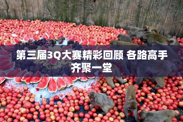 第三届3Q大赛精彩回顾 各路高手齐聚一堂