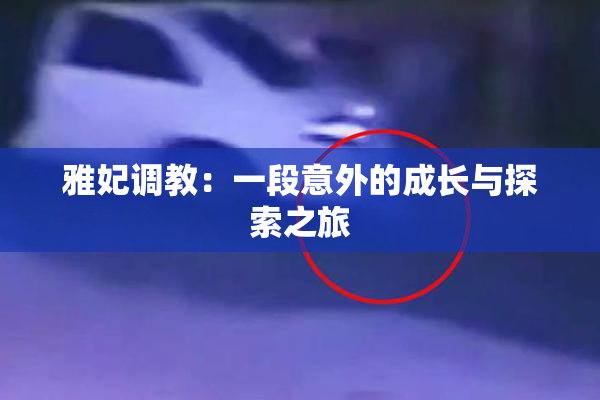 雅妃调教：一段意外的成长与探索之旅