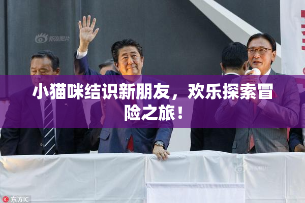 小猫咪结识新朋友，欢乐探索冒险之旅！
