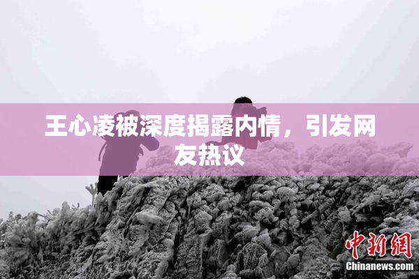 王心凌被深度揭露内情，引发网友热议