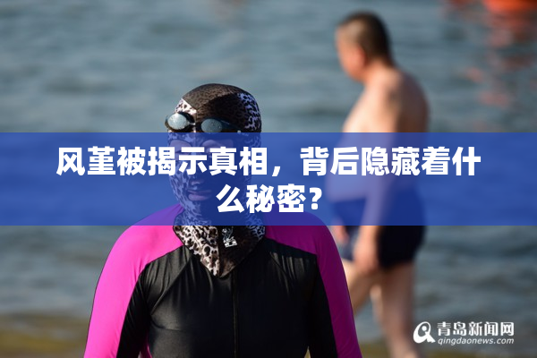 风堇被揭示真相，背后隐藏着什么秘密？