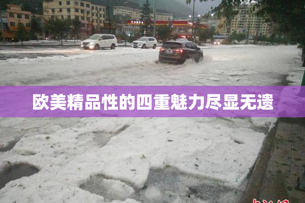 欧美精品性的四重魅力尽显无遗