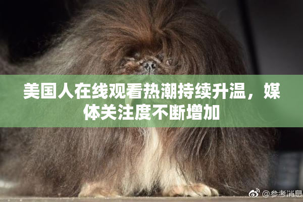 美国人在线观看热潮持续升温，媒体关注度不断增加