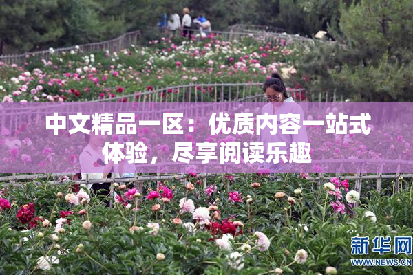 中文精品一区：优质内容一站式体验，尽享阅读乐趣