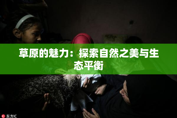 草原的魅力：探索自然之美与生态平衡