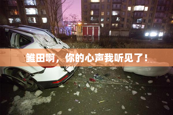 雏田啊，你的心声我听见了！
