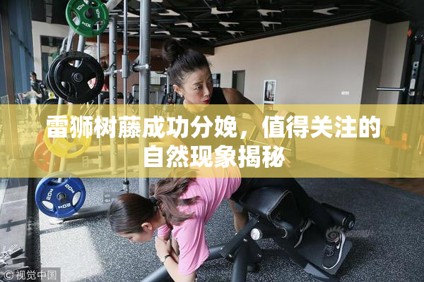 雷狮树藤成功分娩，值得关注的自然现象揭秘