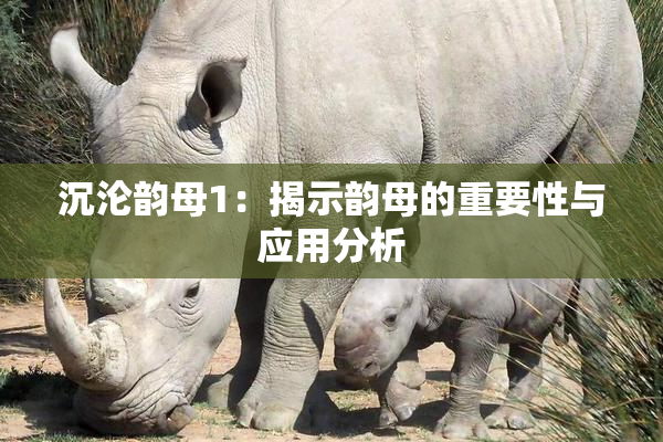 沉沦韵母1：揭示韵母的重要性与应用分析