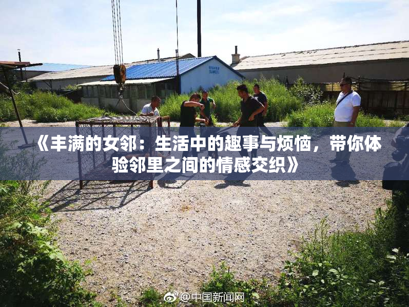 《丰满的女邻：生活中的趣事与烦恼，带你体验邻里之间的情感交织》