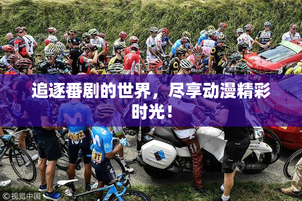 追逐番剧的世界，尽享动漫精彩时光！
