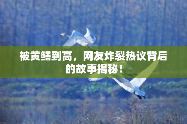 被黄鳝到高，网友炸裂热议背后的故事揭秘！