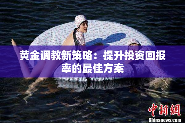 黄金调教新策略：提升投资回报率的最佳方案