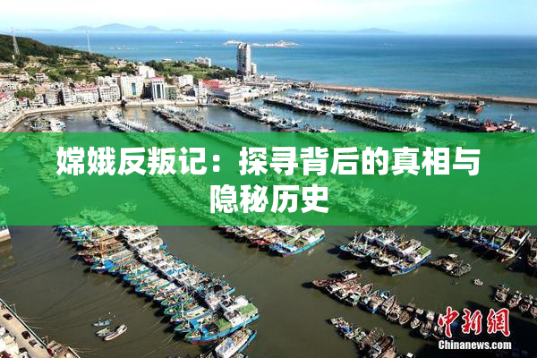 嫦娥反叛记：探寻背后的真相与隐秘历史