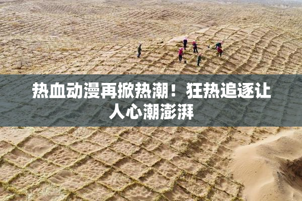 热血动漫再掀热潮！狂热追逐让人心潮澎湃
