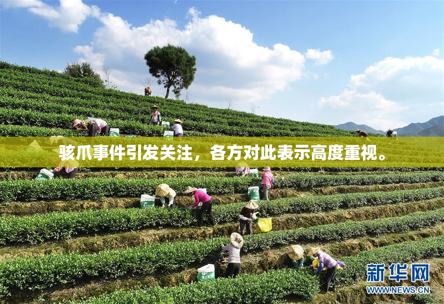 骇爪事件引发关注，各方对此表示高度重视。