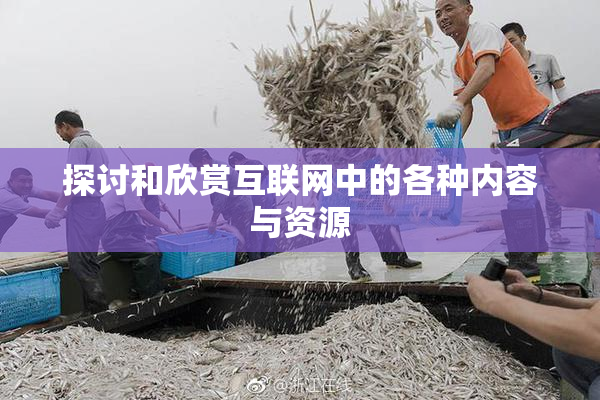 探讨和欣赏互联网中的各种内容与资源