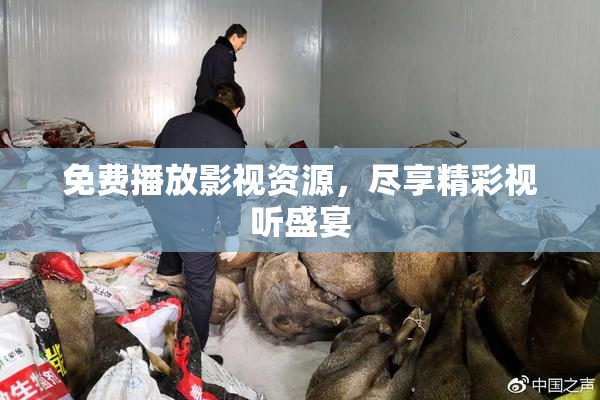 免费播放影视资源，尽享精彩视听盛宴