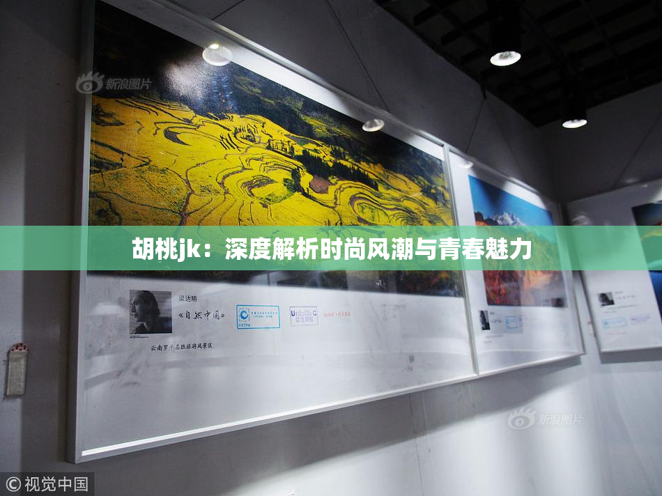 胡桃jk：深度解析时尚风潮与青春魅力