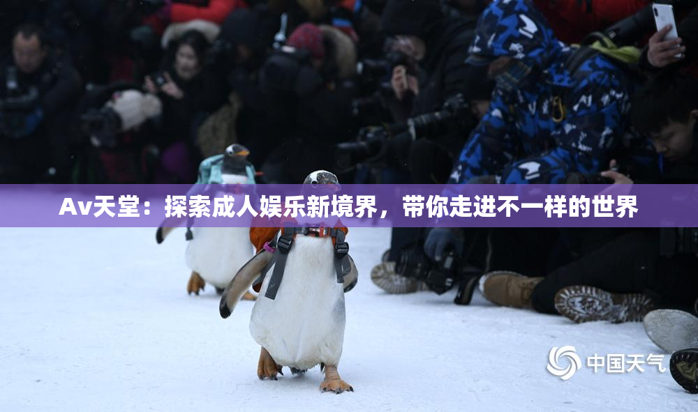 Av天堂：探索成人娱乐新境界，带你走进不一样的世界