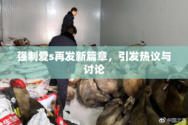 强制爱s再发新篇章，引发热议与讨论