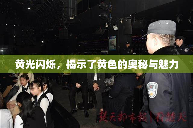 黄光闪烁，揭示了黄色的奥秘与魅力