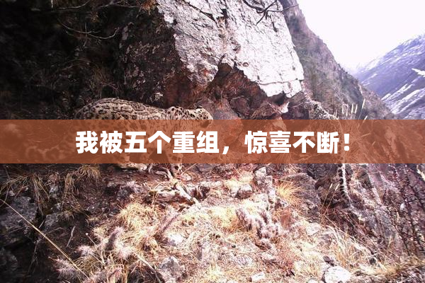 我被五个重组，惊喜不断！