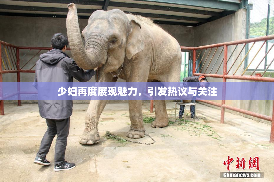 少妇再度展现魅力，引发热议与关注