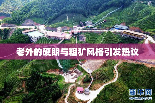 老外的硬朗与粗犷风格引发热议