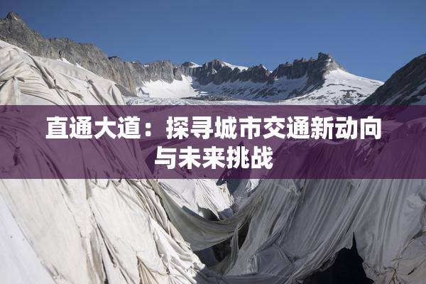 直通大道：探寻城市交通新动向与未来挑战