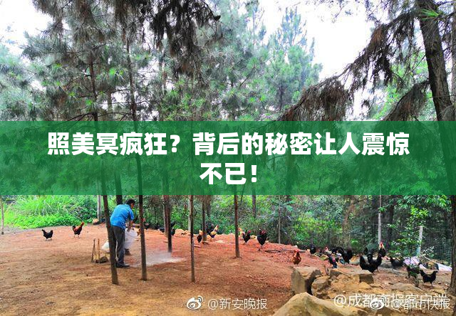 照美冥疯狂？背后的秘密让人震惊不已！