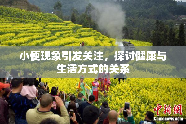 小便现象引发关注，探讨健康与生活方式的关系