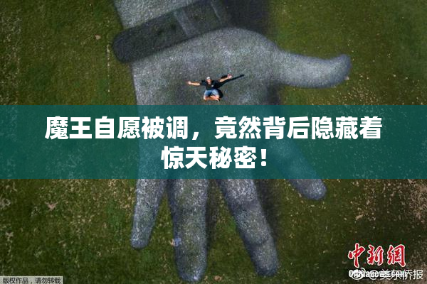 魔王自愿被调，竟然背后隐藏着惊天秘密！
