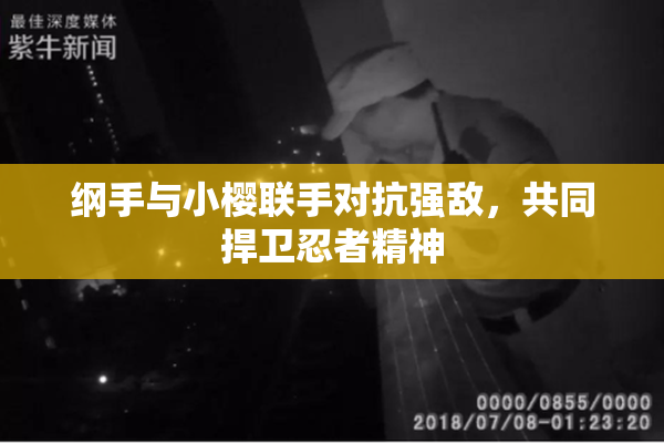 纲手与小樱联手对抗强敌，共同捍卫忍者精神