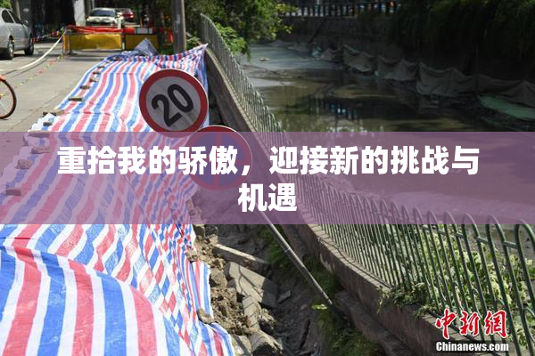 重拾我的骄傲，迎接新的挑战与机遇
