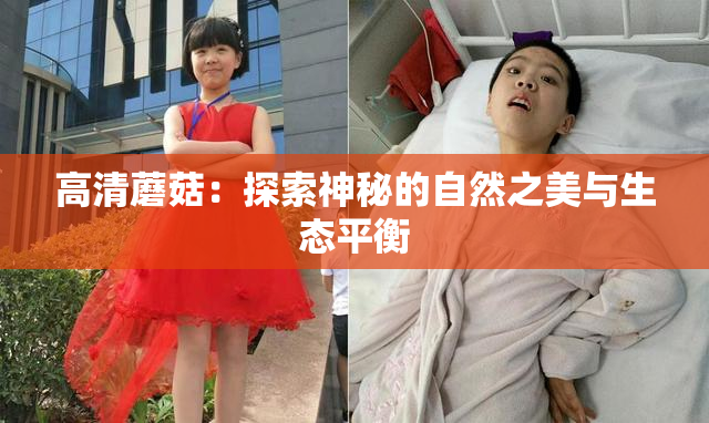 高清蘑菇：探索神秘的自然之美与生态平衡