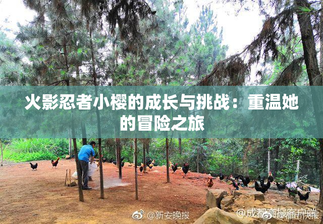 火影忍者小樱的成长与挑战：重温她的冒险之旅
