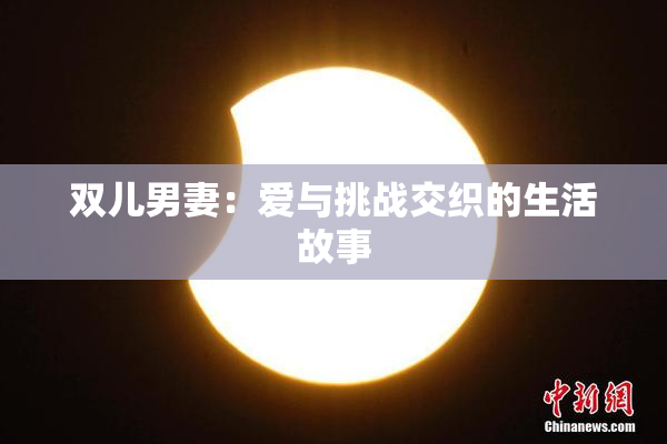 双儿男妻：爱与挑战交织的生活故事