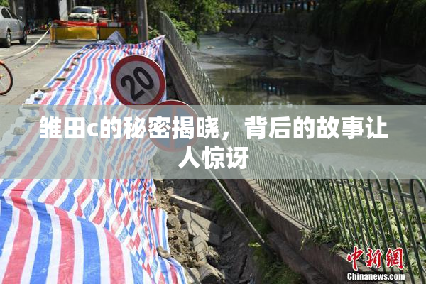 雏田c的秘密揭晓，背后的故事让人惊讶
