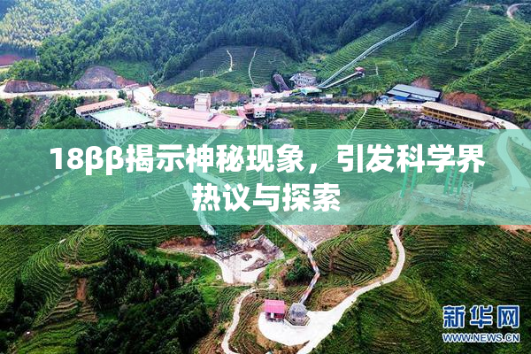 18ββ揭示神秘现象，引发科学界热议与探索