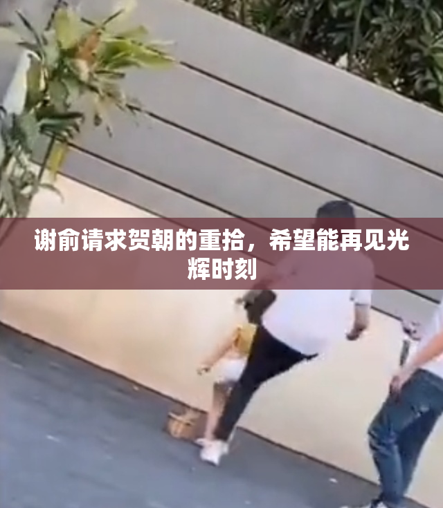 谢俞请求贺朝的重拾，希望能再见光辉时刻