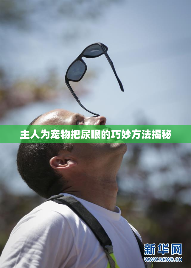 主人为宠物把尿眼的巧妙方法揭秘