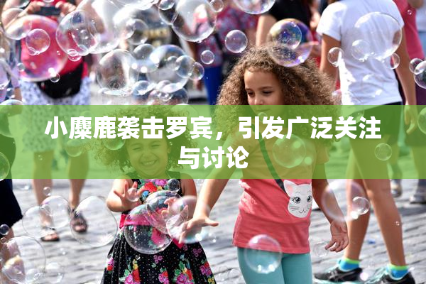 小麋鹿袭击罗宾，引发广泛关注与讨论