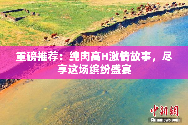 重磅推荐：纯肉高H激情故事，尽享这场缤纷盛宴