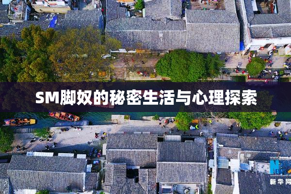 SM脚奴的秘密生活与心理探索