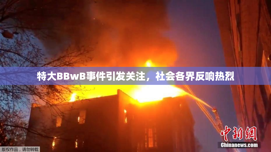 特大BBwB事件引发关注，社会各界反响热烈