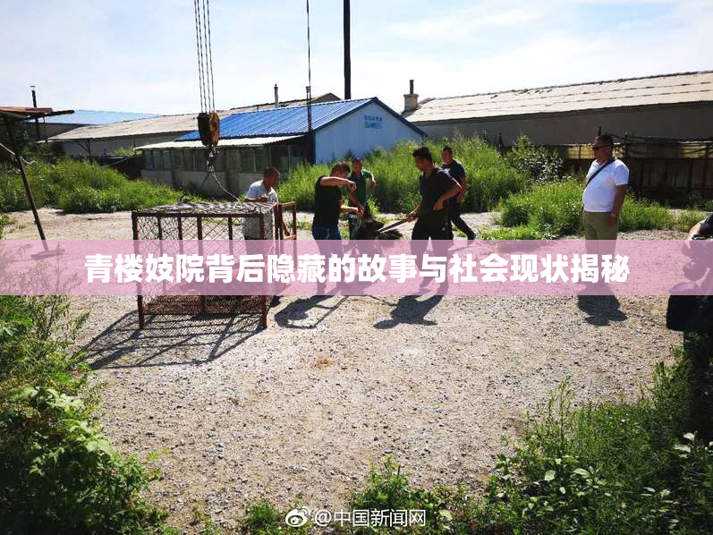 青楼妓院背后隐藏的故事与社会现状揭秘